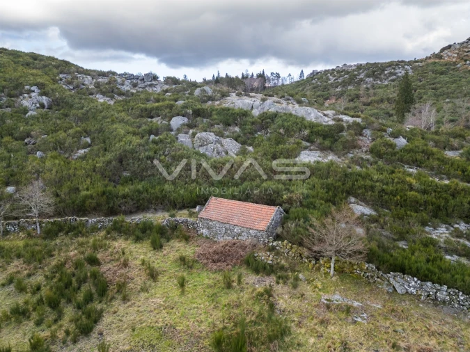 Terreno Agricola ou Rústico para Venda em Rio Douro Foto 3