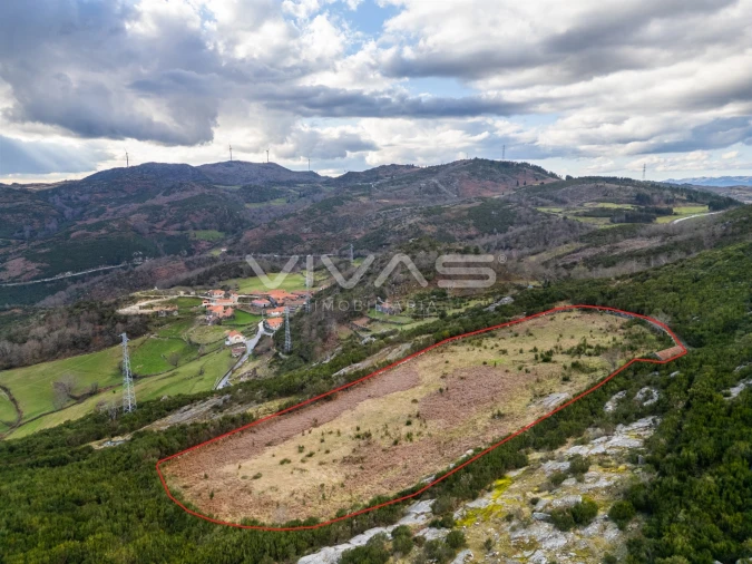 Terreno Agricola ou Rústico para Venda em Rio Douro Foto 5