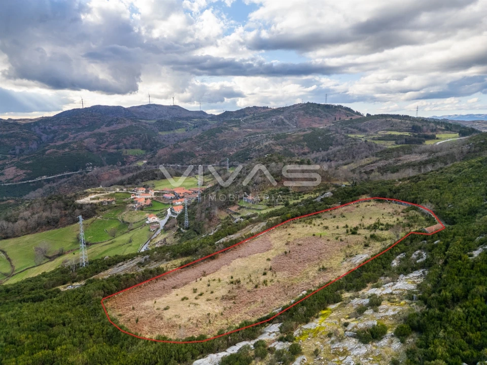 Terreno Agricola ou Rústico para Venda em Rio Douro Foto 5