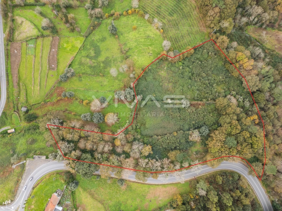 Terreno Agricola ou Rústico para Venda em Vade Foto 2