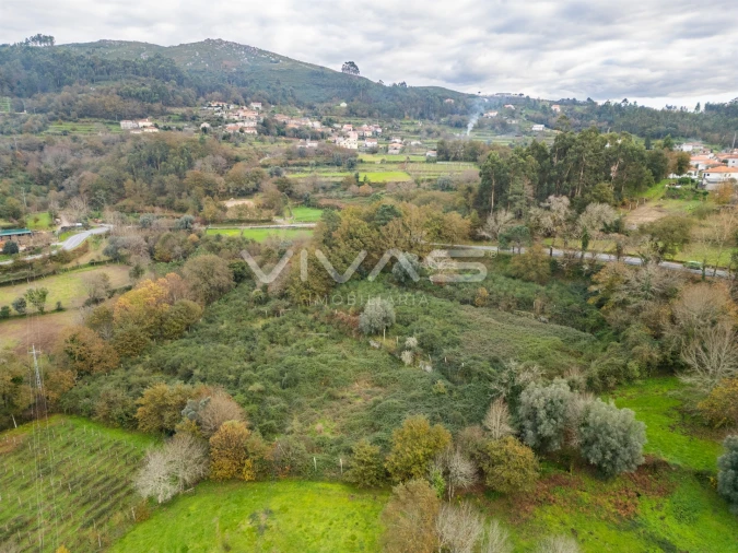 Terreno Agricola ou Rústico para Venda em Vade Foto 11