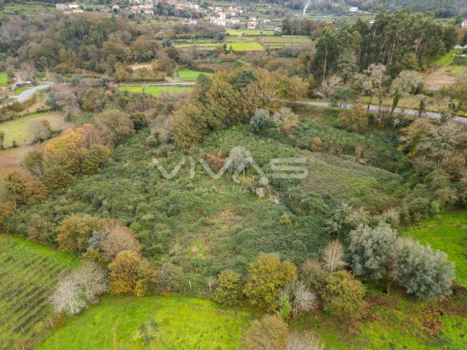Terreno Agricola ou Rústico para Venda em Vade Foto 10
