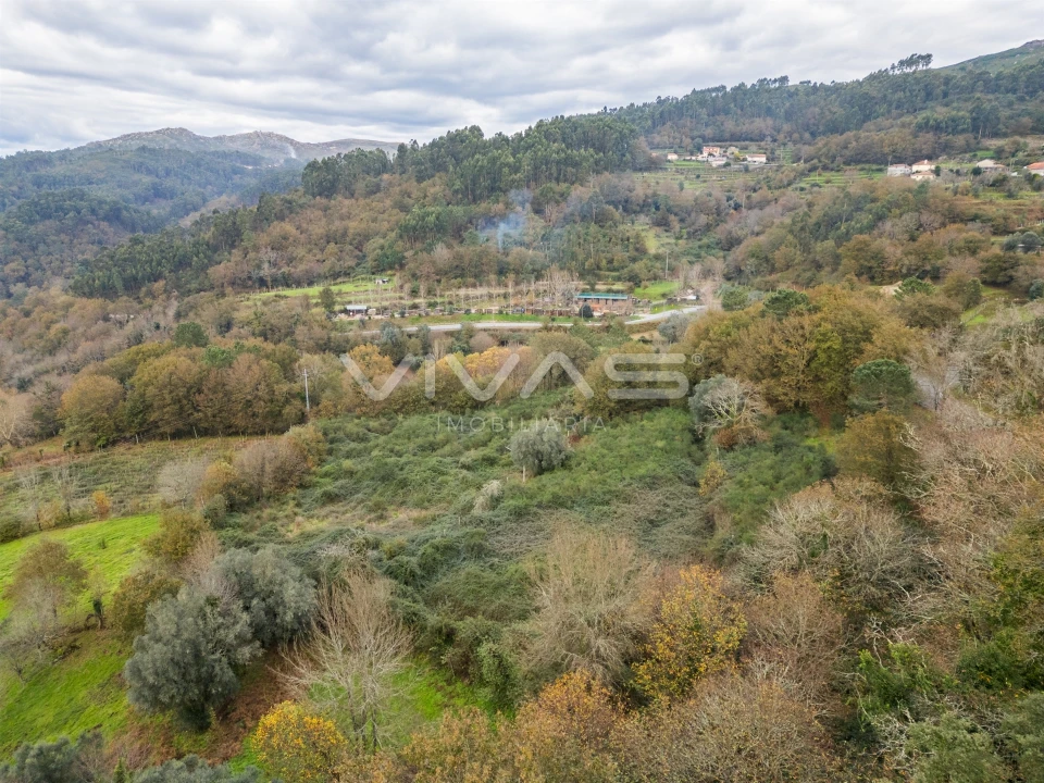 Terreno Agricola ou Rústico para Venda em Vade Foto 15