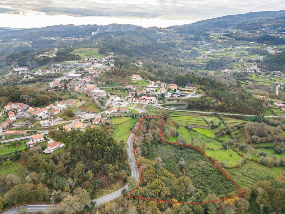 Terreno Agricola ou Rústico para Venda em Vade Foto 21