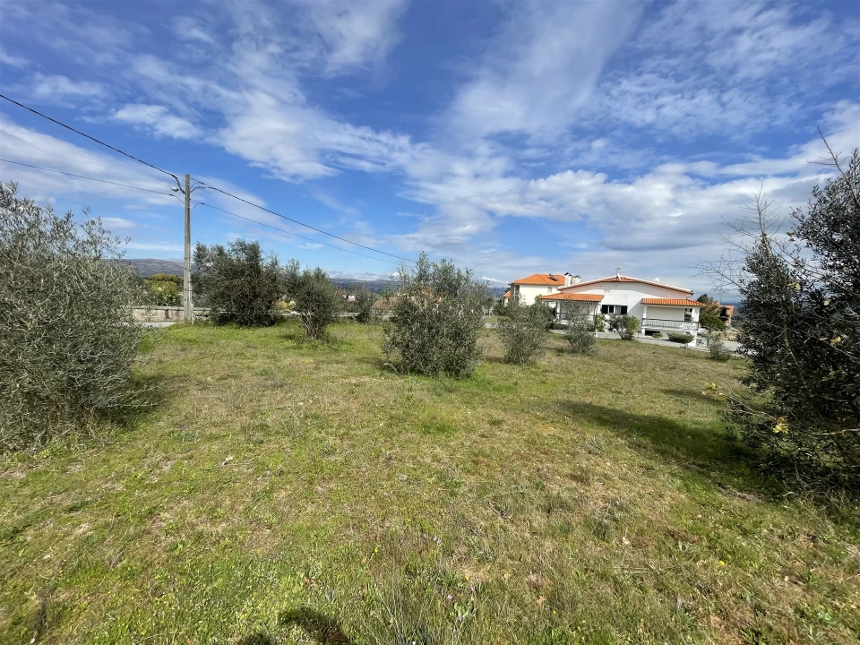 Terreno Agricola ou Rústico para Venda em Arcozelo Foto 8