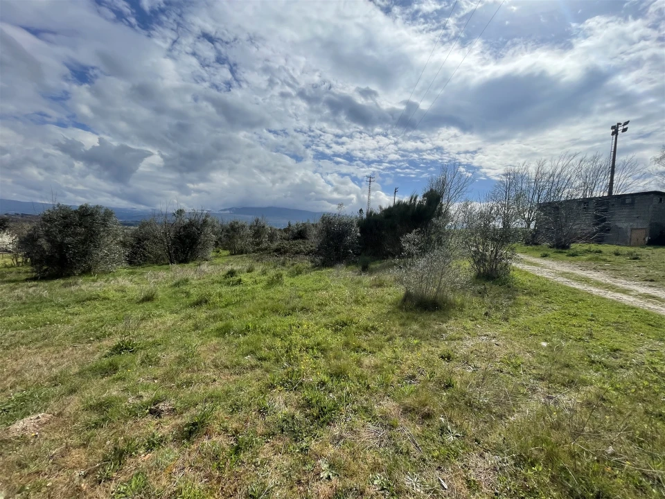 Terreno Agricola ou Rústico para Venda em Arcozelo Foto 6