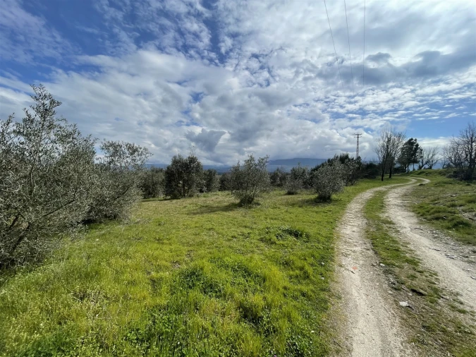 Terreno Agricola ou Rústico para Venda em Arcozelo Foto 4