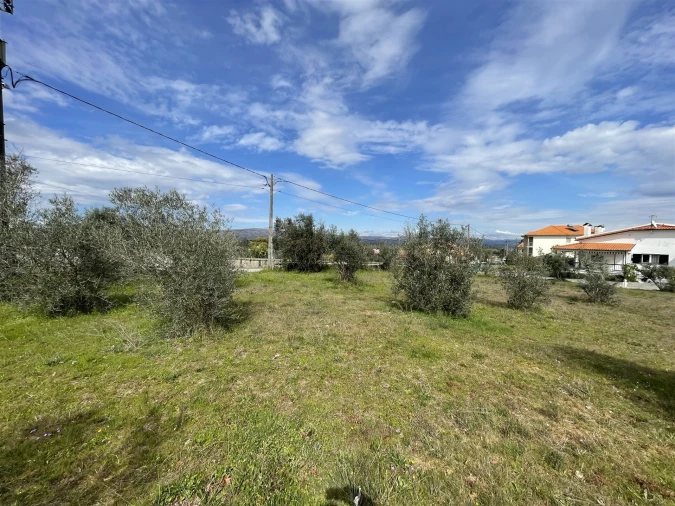 Terreno Agricola ou Rústico para Venda em Arcozelo Foto 7