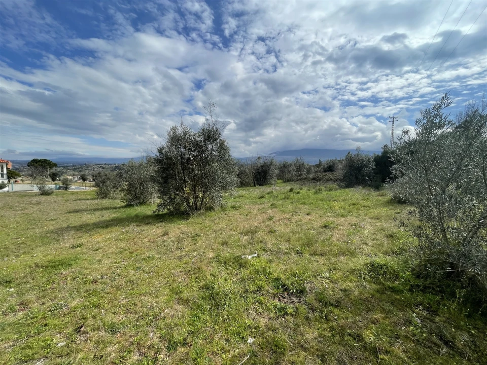 Terreno Agricola ou Rústico para Venda em Arcozelo Foto 5