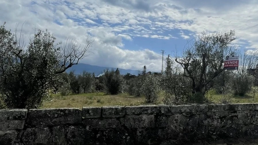 Terreno Agricola ou Rústico para Venda em Arcozelo