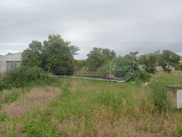 Terreno para Venda em Marinhais