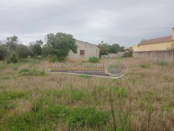 Terreno para Venda em Marinhais