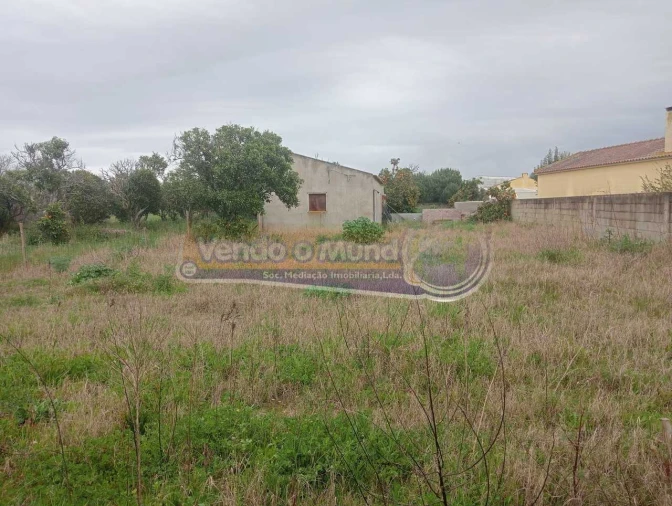 Terreno para Venda em Marinhais Foto 2