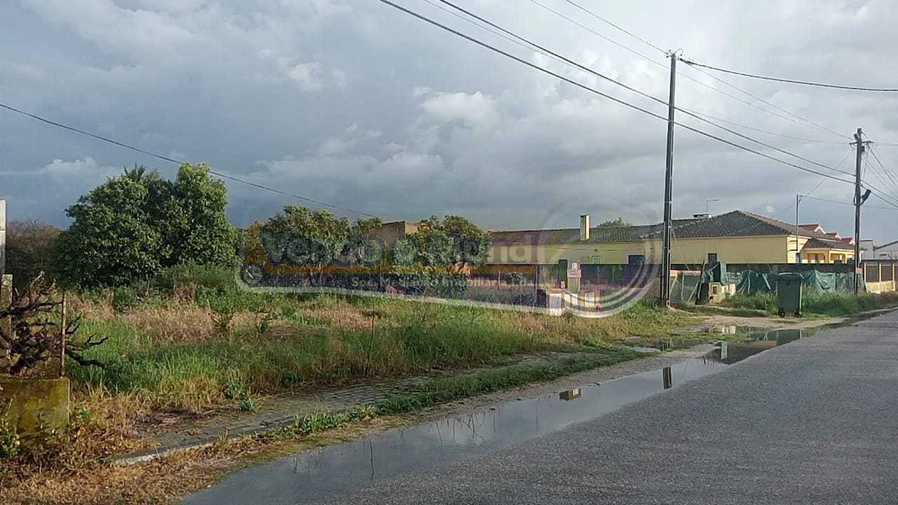 Terreno para Venda em Marinhais Foto 1