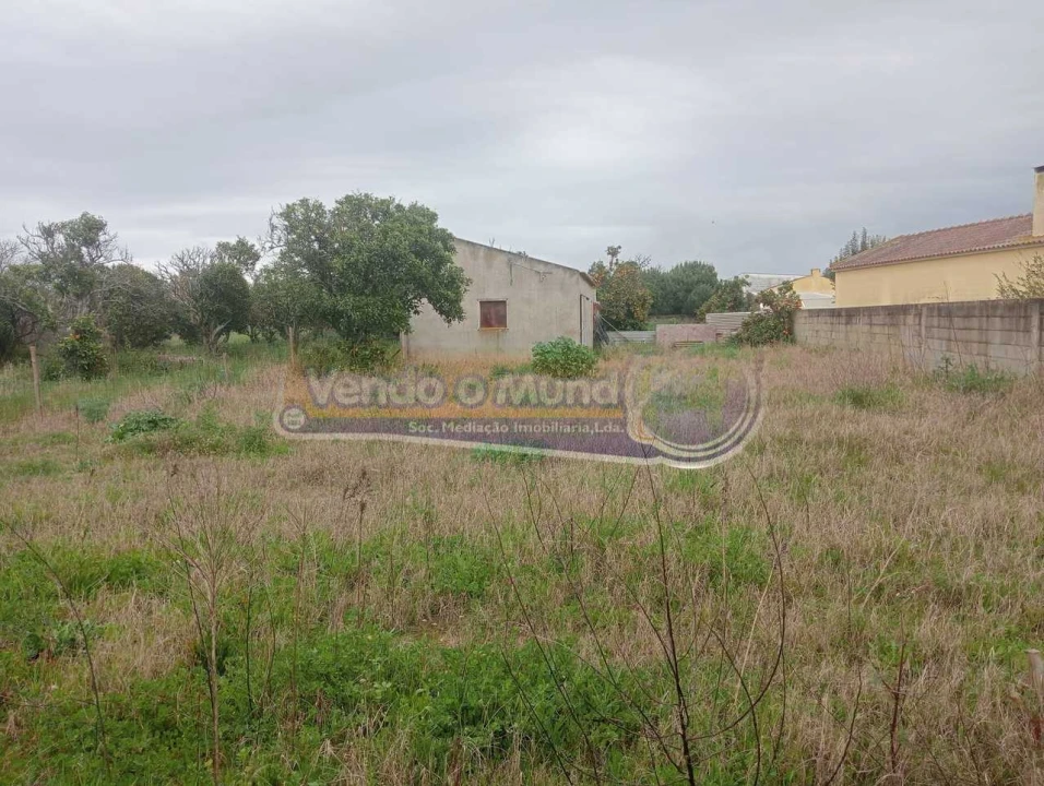 Terreno para Venda em Marinhais Foto 2