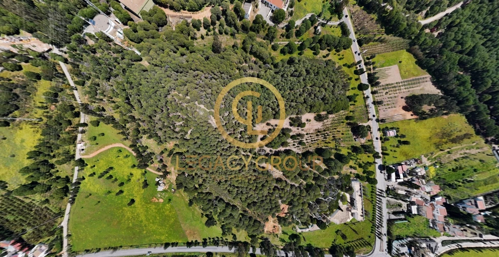 Terreno para Venda em Castro Marim Foto 9