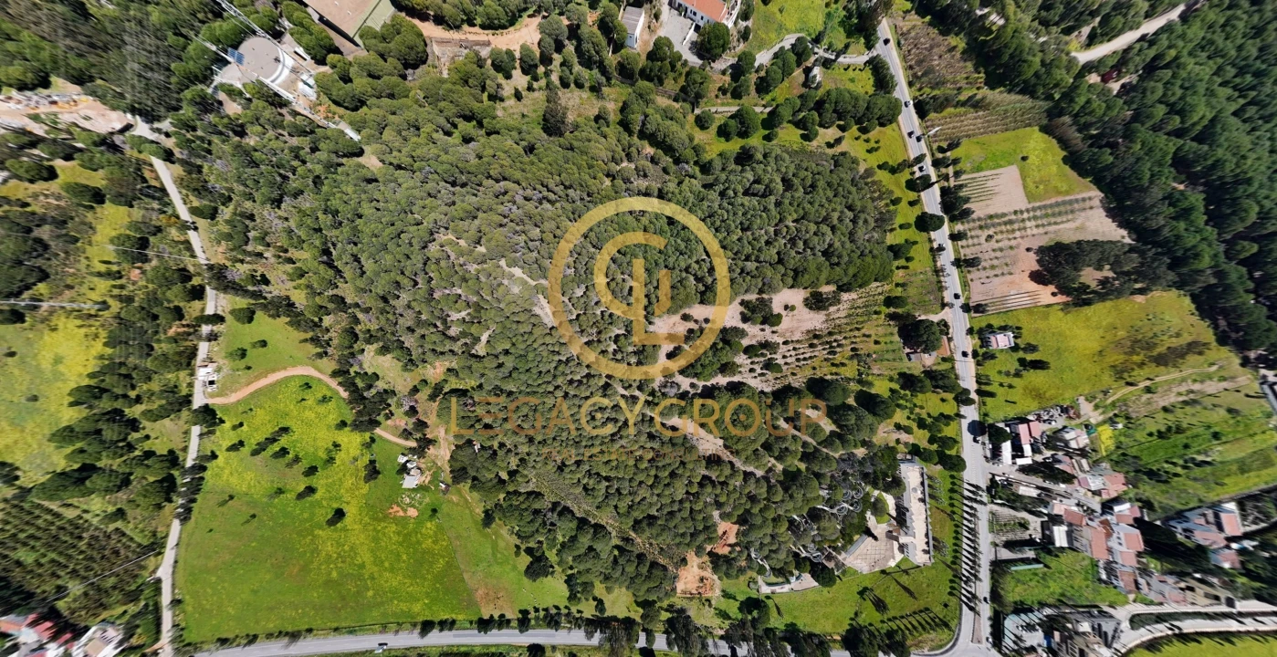 Terreno para Venda em Castro Marim Foto 9