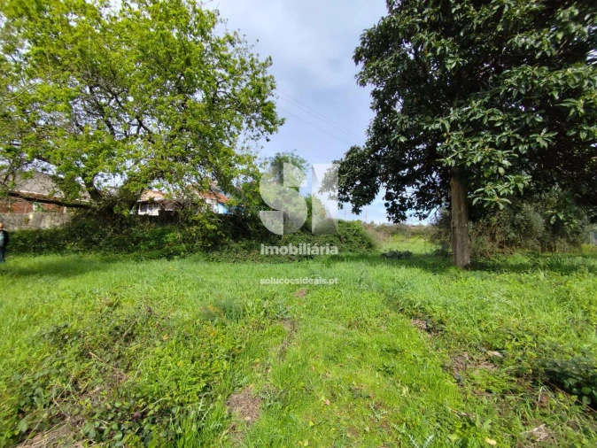 Terreno para Venda em Pampilhosa Foto 8