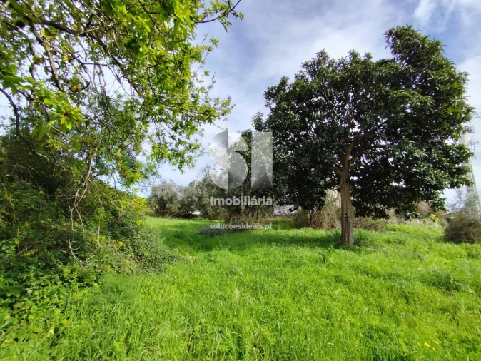 Terreno para Venda em Pampilhosa Foto 4