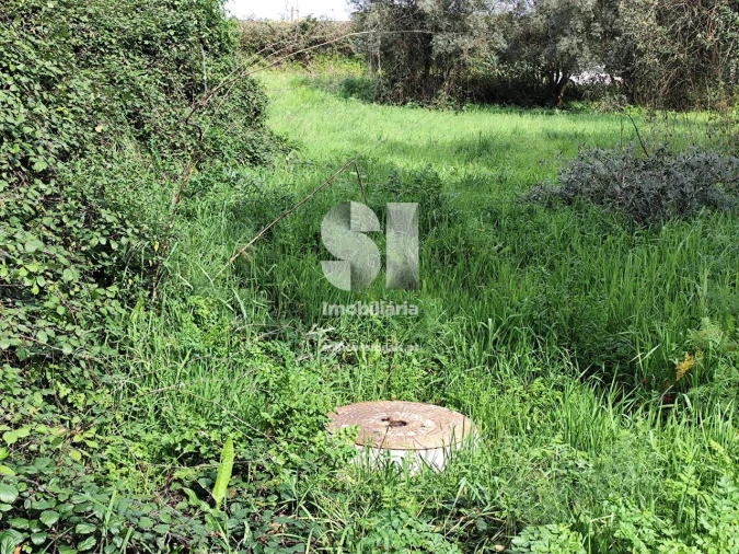 Terreno para Venda em Pampilhosa Foto 5