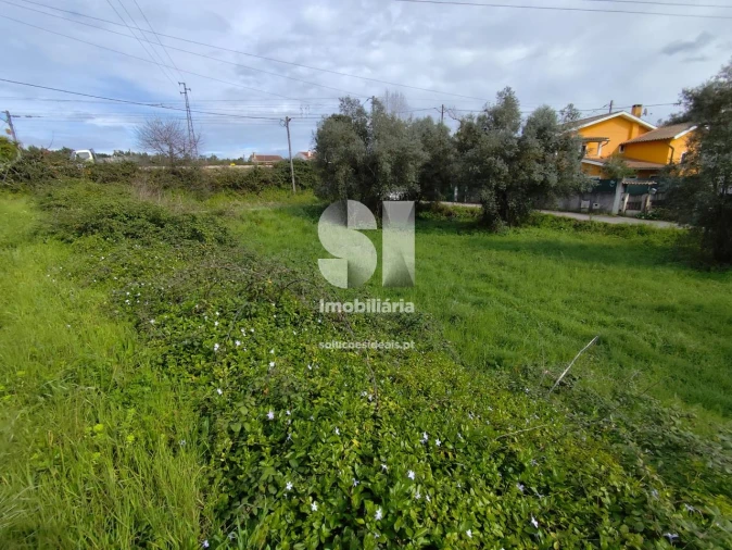 Terreno para Venda em Pampilhosa Foto 6