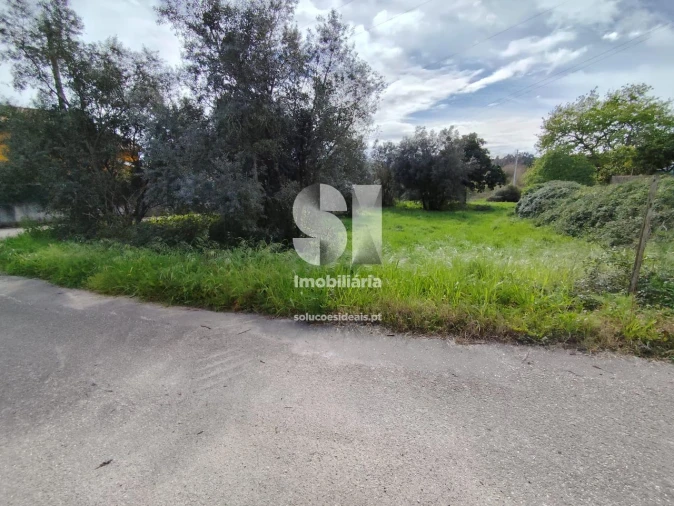 Terreno para Venda em Pampilhosa Foto 7