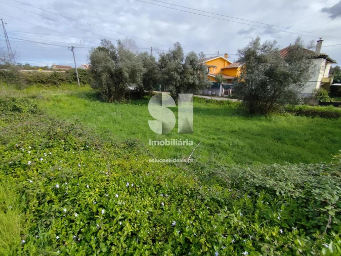 Terreno para Venda em Pampilhosa Foto 2