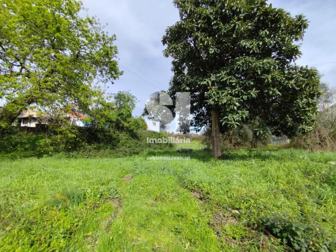 Terreno para Venda em Pampilhosa Foto 9