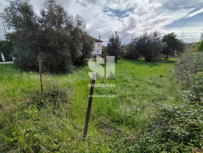 Terreno para Venda em Pampilhosa Foto 10