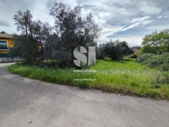 Terreno para Venda em Pampilhosa Foto 11