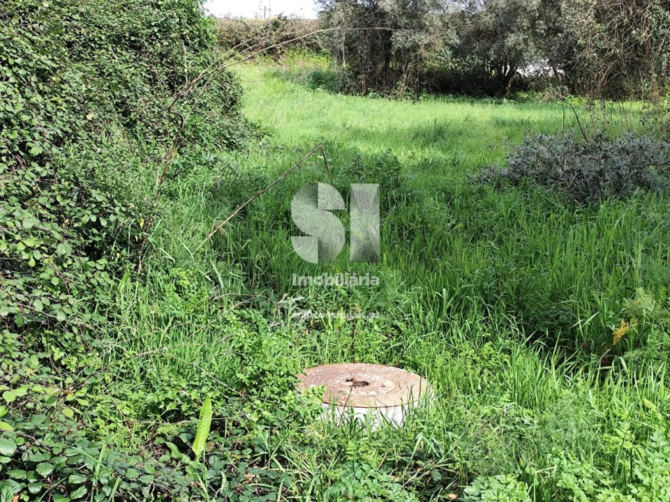 Terreno para Venda em Pampilhosa Foto 5