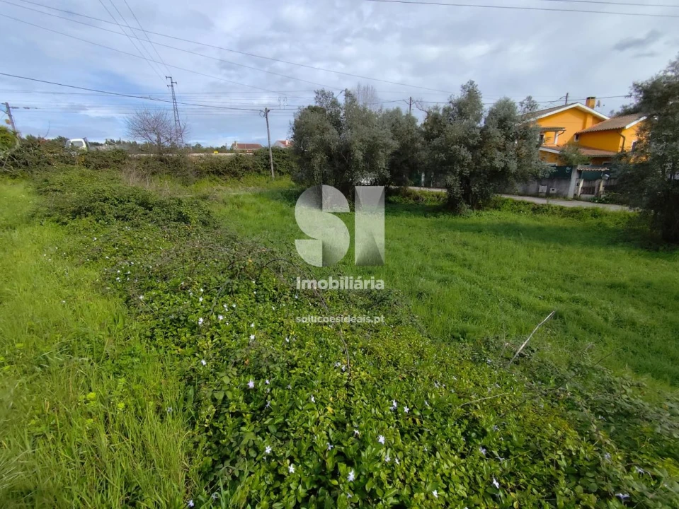 Terreno para Venda em Pampilhosa Foto 6
