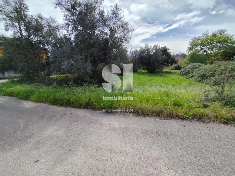 Terreno para Venda em Pampilhosa Foto 7