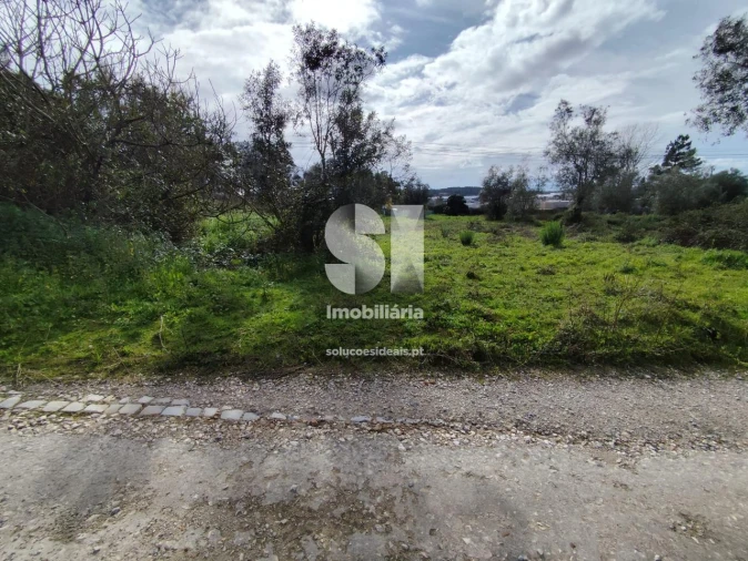 Terreno para Venda em Pampilhosa Foto 4