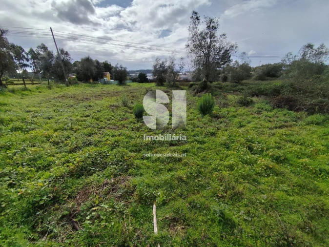 Terreno para Venda em Pampilhosa Foto 5
