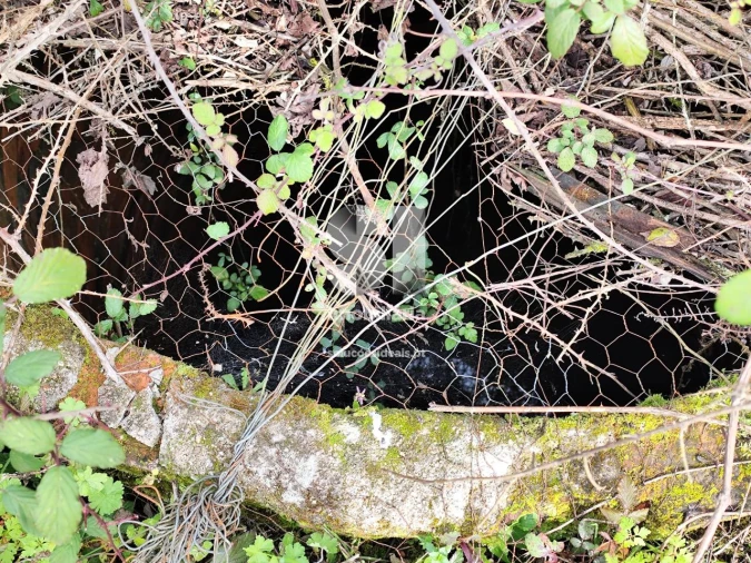 Terreno para Venda em Pampilhosa Foto 7