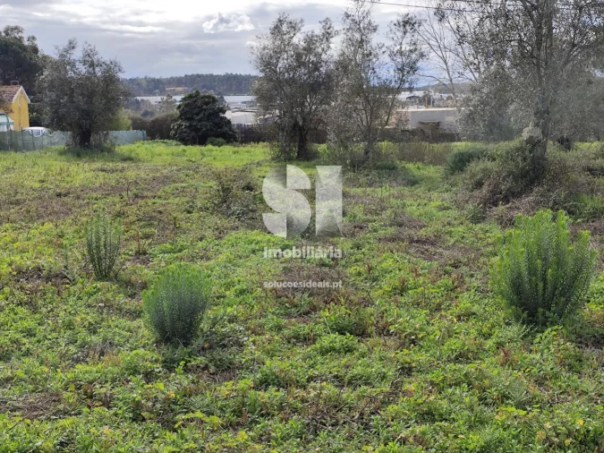 Terreno para Venda em Pampilhosa Foto 9