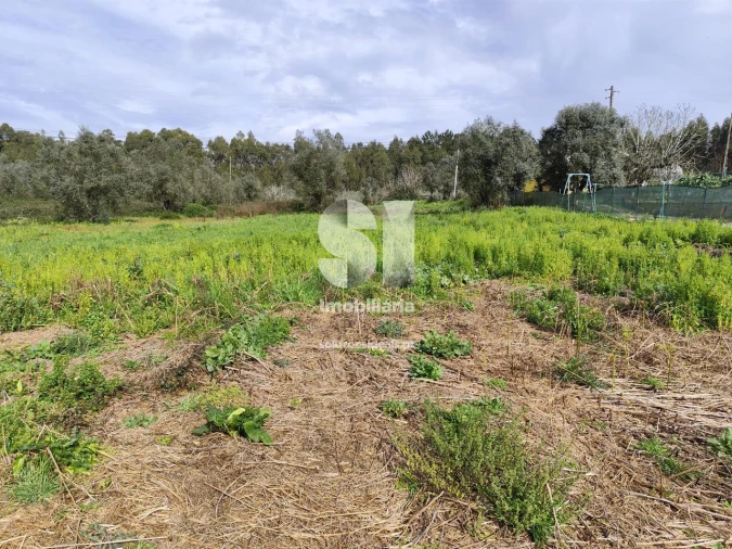 Terreno para Venda em Pampilhosa Foto 6