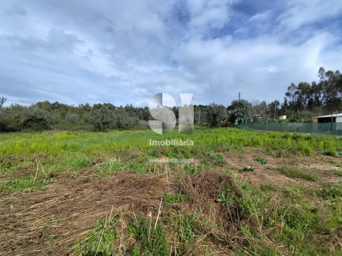 Terreno para Venda em Pampilhosa Foto 2