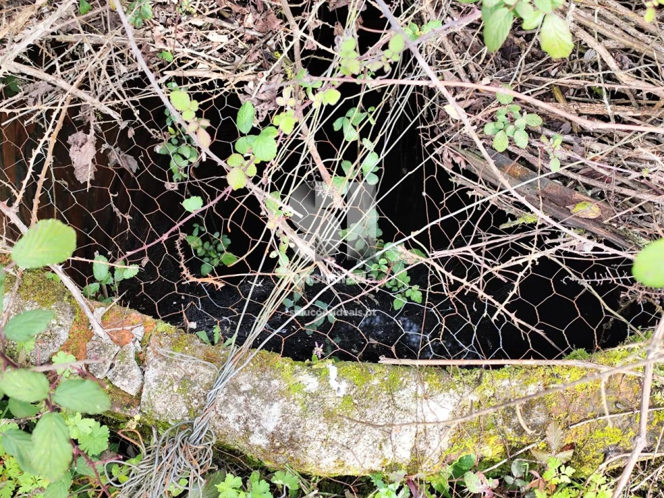 Terreno para Venda em Pampilhosa Foto 7