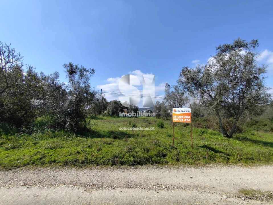 Terreno para Venda em Pampilhosa Foto 1