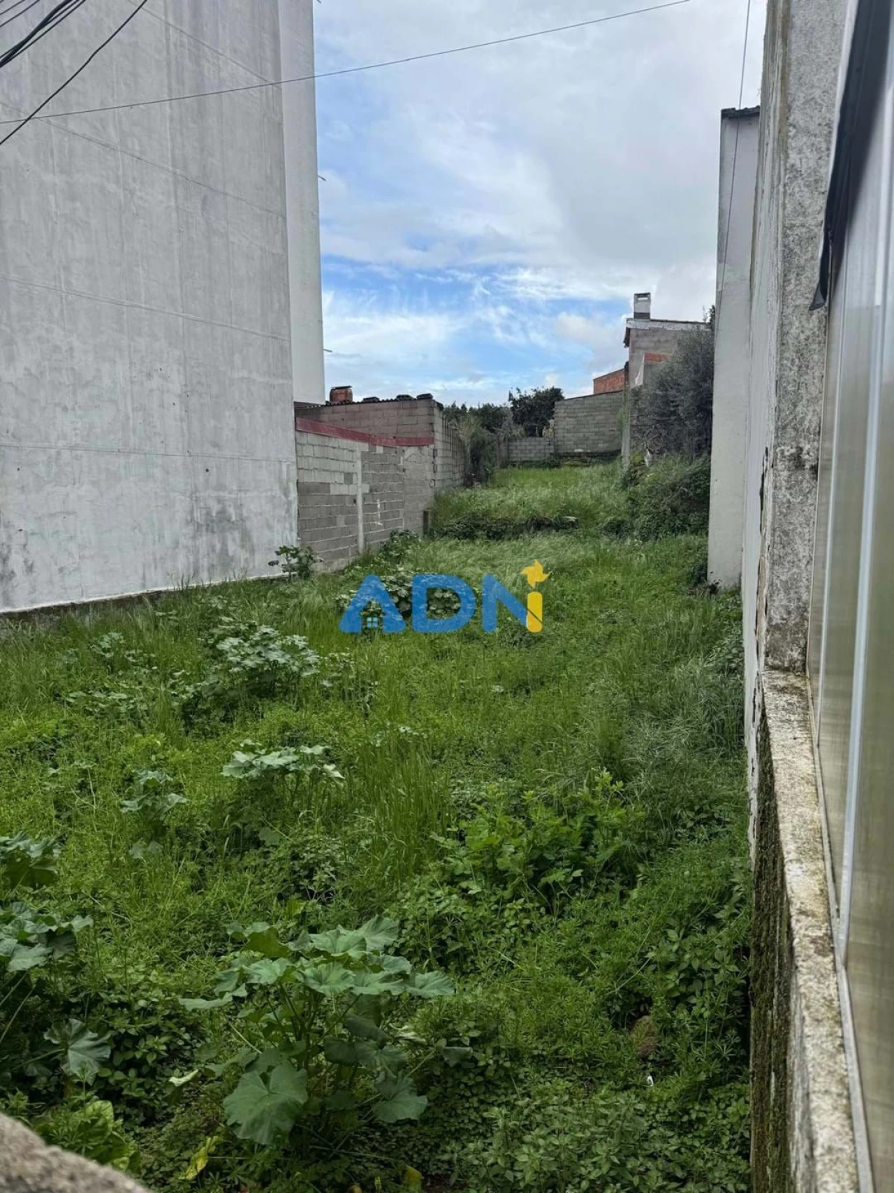 Terreno para Venda em Alcains Foto 6