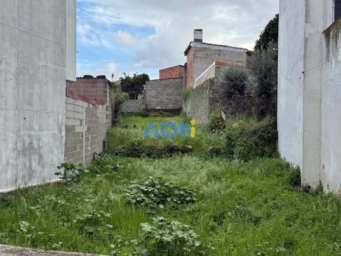 Terreno para Venda em Alcains Foto 5