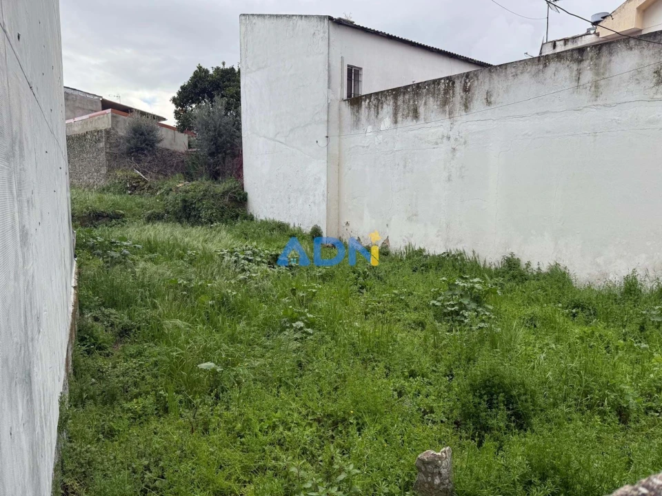 Terreno para Venda em Alcains Foto 4