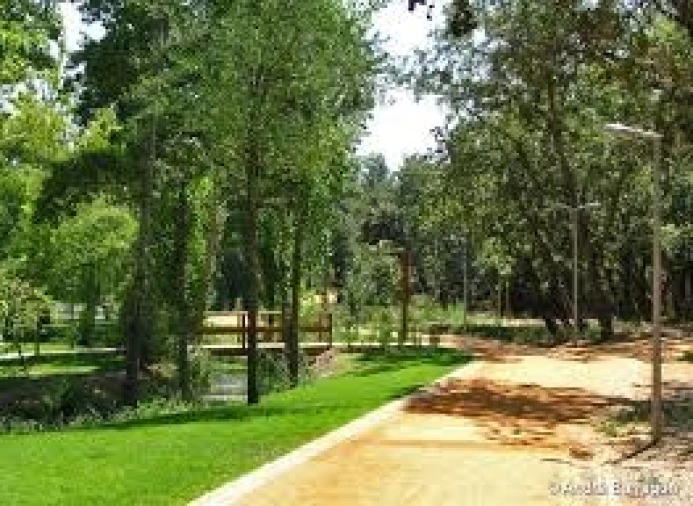 Terreno para Venda em Nossa Sra de Fatima Foto 10