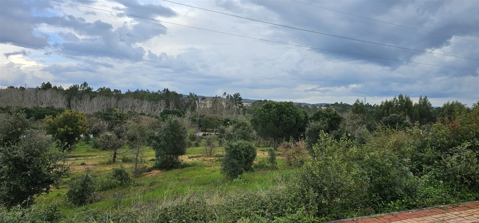 Terreno para Venda em Nossa Sra de Fatima Foto 3