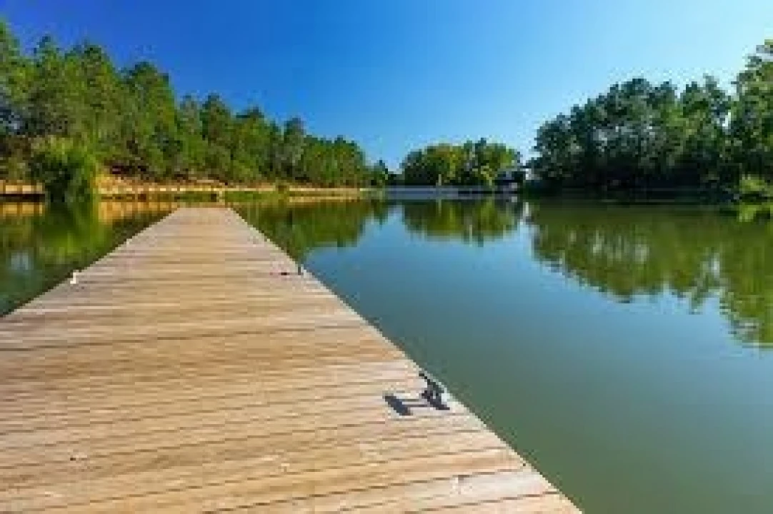 Terreno para Venda em Nossa Sra de Fatima Foto 15