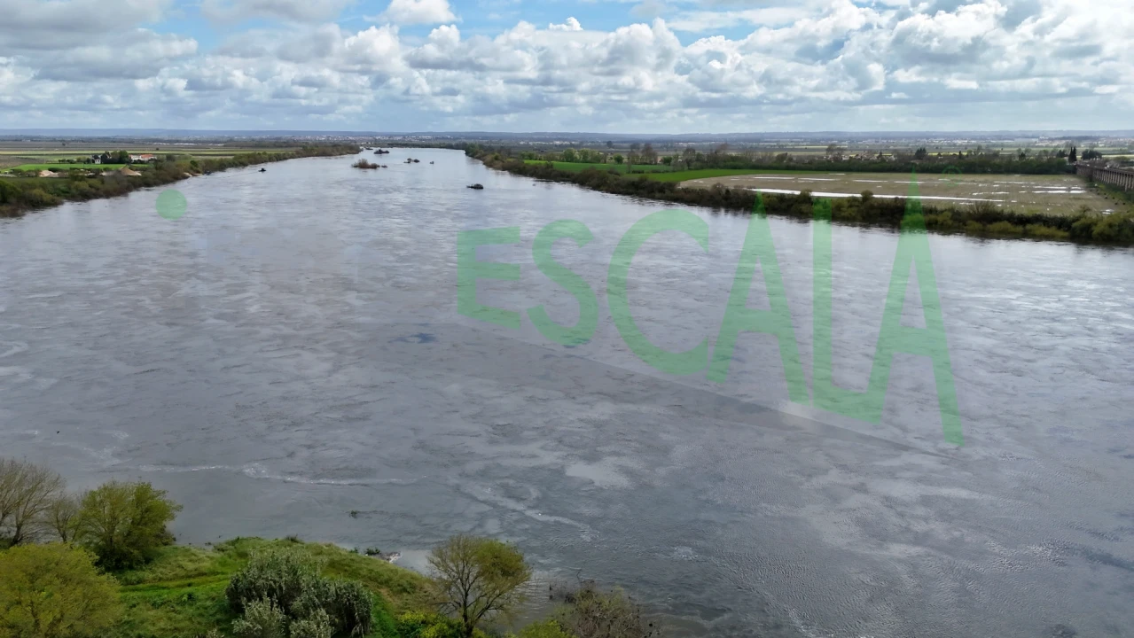 Moradia T4 para Venda em Fazendas de Almeirim Foto 56