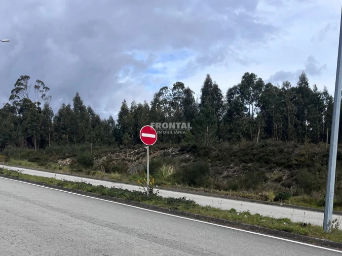 Terreno para Venda em Campo e Sobrado Foto 2