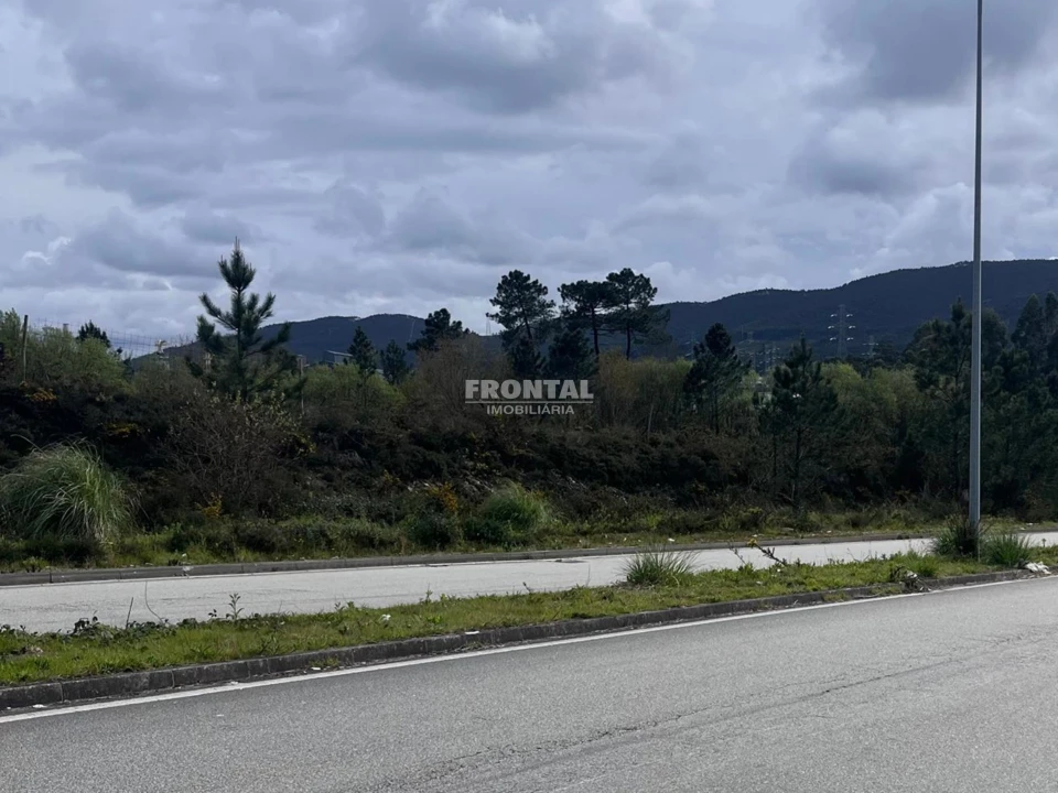 Terreno para Venda em Campo e Sobrado Foto 3